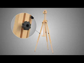 MEEDEN Tripod Plein Air Painting Easel with Carrying Case-W07E